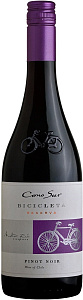 Красное Сухое Вино Cono Sur Bicicleta Pinot Noir Central Valley 0.75 л