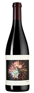 Красное Полусухое Вино Sanford & Benedict Vineyard Pinot Noir 2019 г. 0.75 л