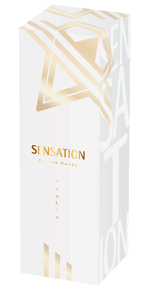 Подарочная упаковка 1 Бутылка Игристое Вино Sensation 9.6x27.55x9.6 см