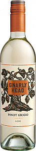 Белое Полусухое Вино Gnarly Head Pinot Grigio 0.75 л