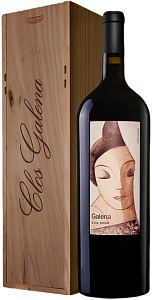Красное Сухое Вино Domini de la Cartoixa Galena Priorat DOQ 1.5 л Gift Box