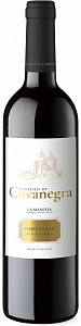 Красное Сухое Вино Garcia Carrion Castillo de Covanegra Tempranillo Cosecha La Mancha DO 0.75 л