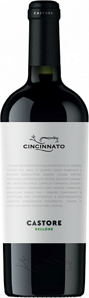 Вино Cincinnato Castore Bellone Lazio 0.75 л