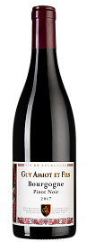 Вино Domaine Amiot Guy et Fils Bourgogne Pinot Noir 0.75 л
