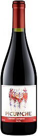 Вино Picunche Cabernet Sauvignon Central Valley DO 0.75 л