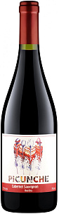 Красное Сухое Вино Picunche Cabernet Sauvignon Central Valley DO 0.75 л