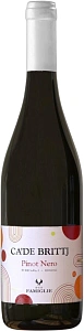 Красное Сухое Вино Ca'de Brittj Pinot Nero 0.75 л