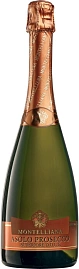 Игристое вино Montelliana Asolo Prosecco Superiore 0.75 л