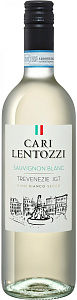 Белое Сухое Вино Cari Lentozzi Sauvignon Blanc 0.75 л
