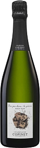 Белое Брют Шампанское Marie Copinet Nos pas dans... la pierre Brut Nature Champagne 0.75 л