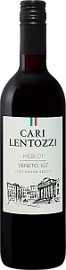 Красное Сухое Вино Cari Lentozzi Merlot Veneto IGT Villa degli Olmi 0.75 л