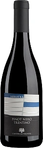 Красное Сухое Вино Cantina di Trento Heredia Pinot Nero Trentino DOC 0.75 л