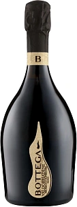 Белое Сухое Игристое вино Bottega Rive Valdobbiadene Prosecco Superiore DOCG Dry 0.75 л