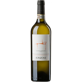 Вино Fonzone Fiano di Avellino 2020 г. 0.75 л
