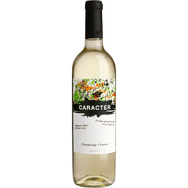 Вино Santa Ana Caracter Chardonnay-Chenin 2020 г. 0.75 л