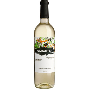Белое Сухое Вино Santa Ana Caracter Chardonnay-Chenin 2020 г. 0.75 л