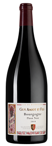 Красное Сухое Вино Bourgogne Pinot Noir Domaine Amiot Guy et Fils 2018 г. 1.5 л
