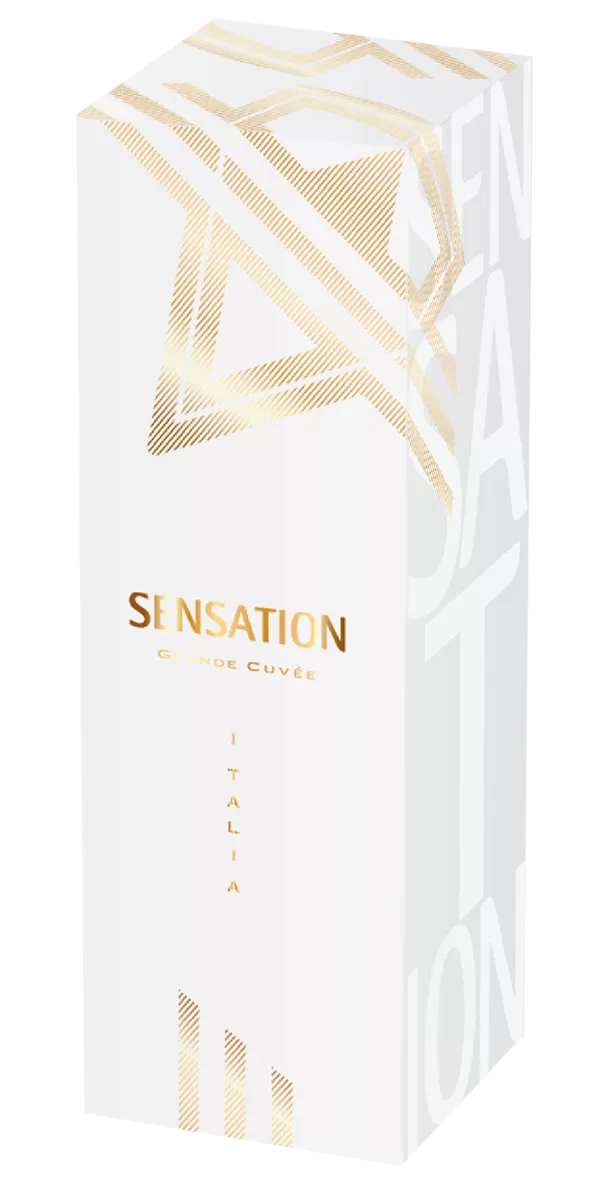 Подарочная упаковка 1 Бутылка Игристое Вино Sensation 9.6x27.55x9.6 см